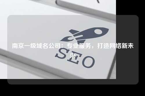南京一级域名公司：专业服务，打造网络新未来
